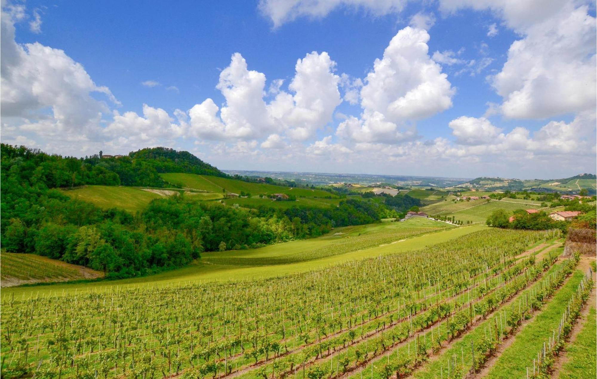 Pet Friendly Home In San Cristoforo With Wifi Exteriör bild